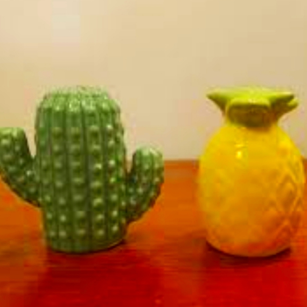 Cactus And Pineapple Salt And Pepper Shakers vintage.